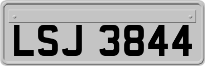 LSJ3844
