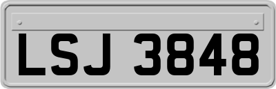 LSJ3848