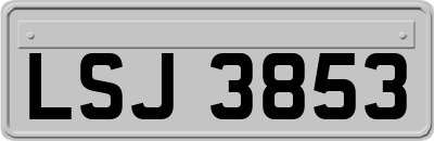 LSJ3853