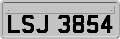 LSJ3854