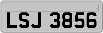 LSJ3856