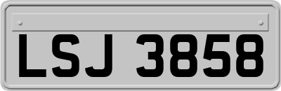 LSJ3858
