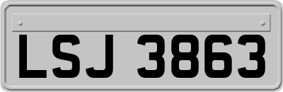 LSJ3863