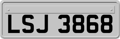 LSJ3868