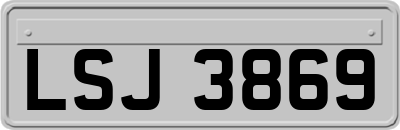 LSJ3869