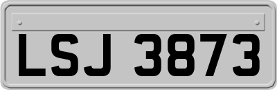LSJ3873