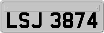 LSJ3874