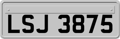 LSJ3875