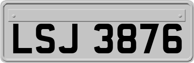 LSJ3876
