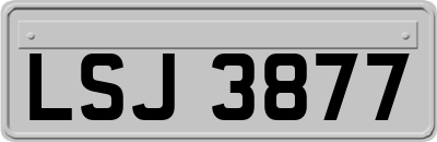 LSJ3877