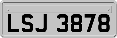 LSJ3878