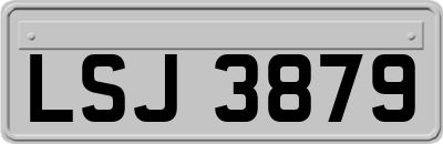 LSJ3879
