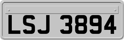 LSJ3894
