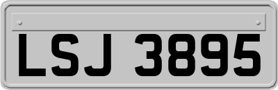 LSJ3895