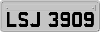 LSJ3909