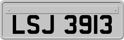 LSJ3913