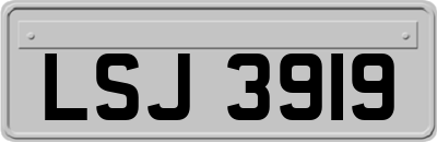 LSJ3919