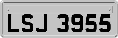 LSJ3955