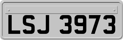 LSJ3973