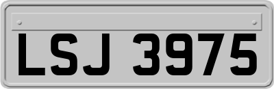 LSJ3975
