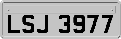 LSJ3977