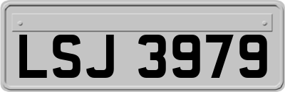 LSJ3979