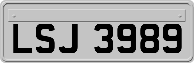 LSJ3989