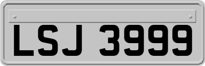 LSJ3999