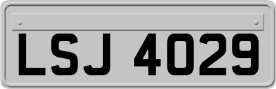 LSJ4029