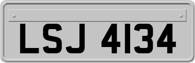 LSJ4134