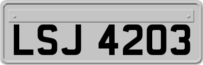 LSJ4203