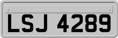 LSJ4289