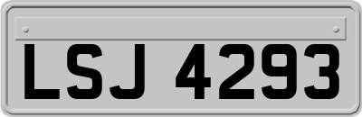 LSJ4293