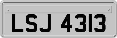 LSJ4313