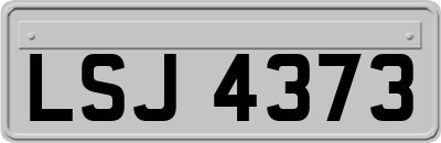 LSJ4373