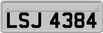 LSJ4384