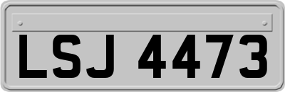LSJ4473