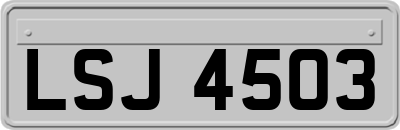 LSJ4503