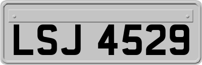 LSJ4529