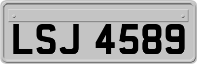 LSJ4589