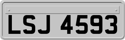 LSJ4593