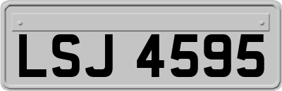 LSJ4595