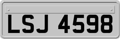 LSJ4598