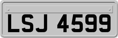LSJ4599
