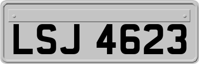 LSJ4623