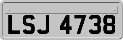 LSJ4738