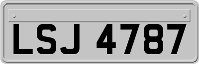 LSJ4787