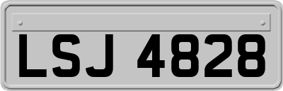 LSJ4828