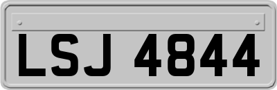 LSJ4844
