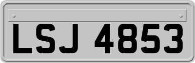 LSJ4853